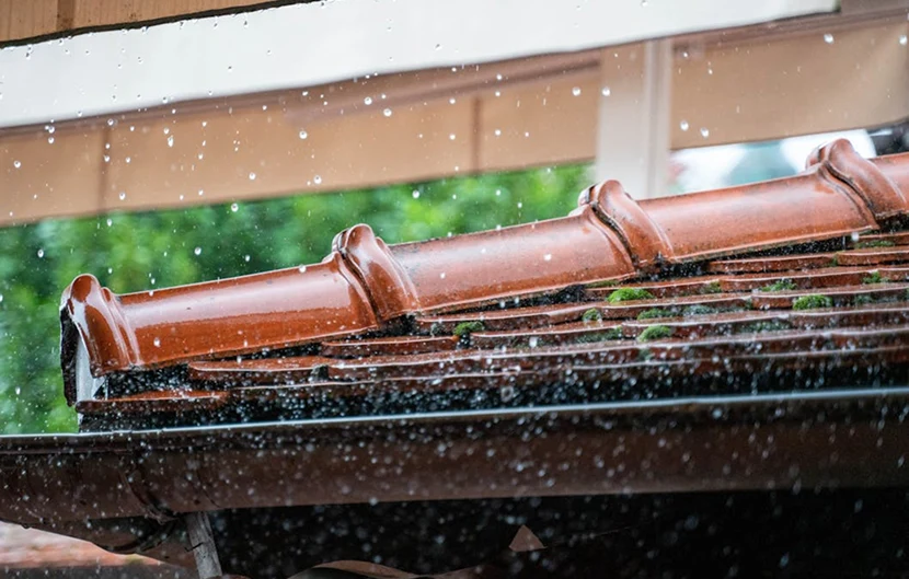 Reliable Gutter Cleaning in Raleigh