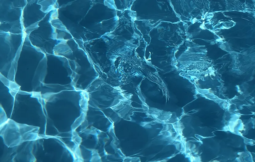 above ground pool install